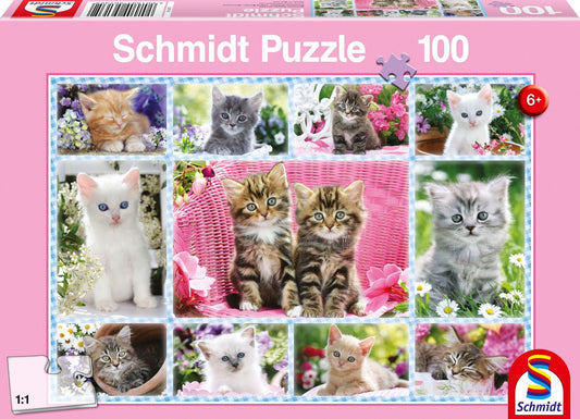 Katzenbabys Puzzle Teile