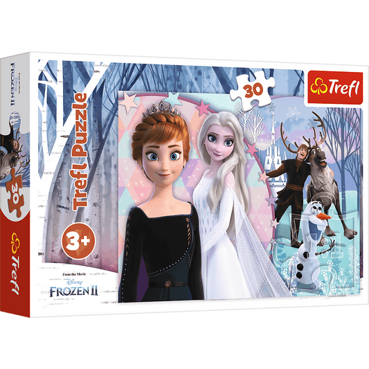 Disney Frozen Eiskoenigin Puzzle Teile