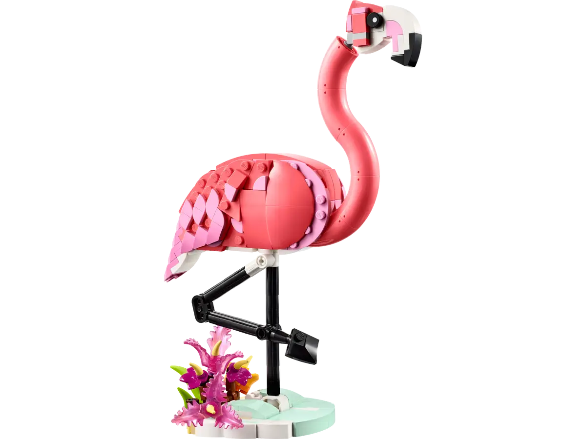 Creator Rosa Flamingo