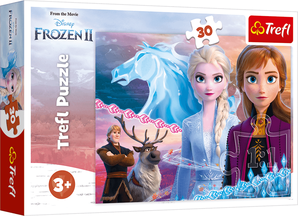 Disney Frozen Schwestern Puzzle Teile