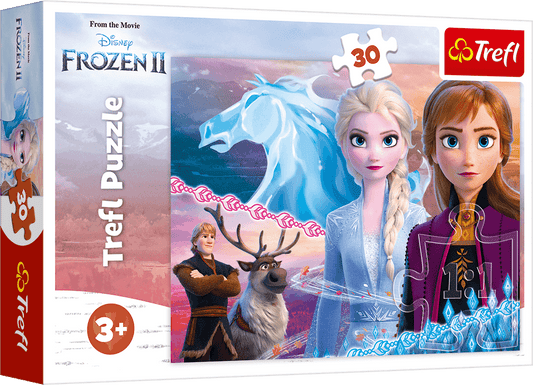 Disney Frozen Schwestern Puzzle Teile