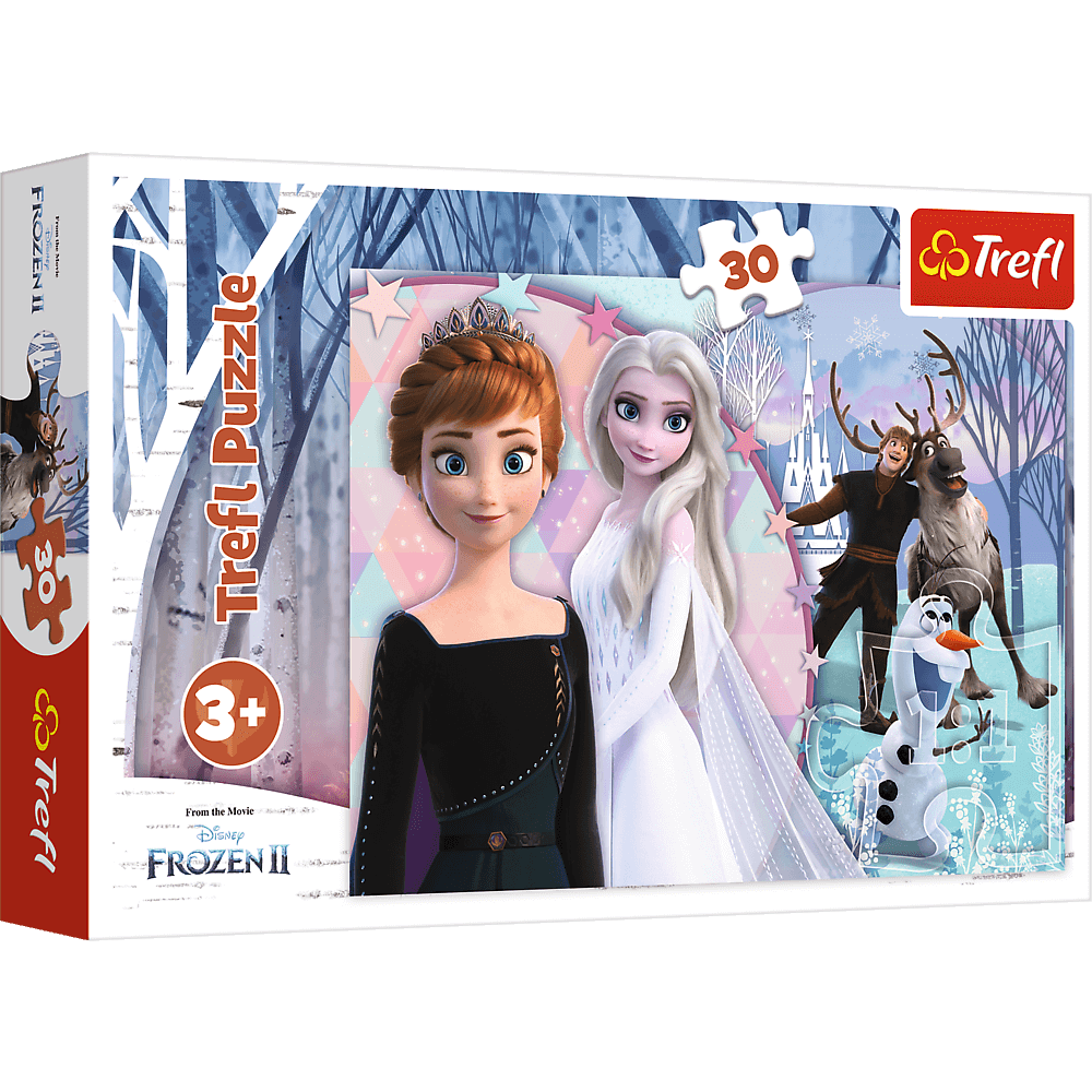 Disney Frozen Eiskoenigin Puzzle Teile