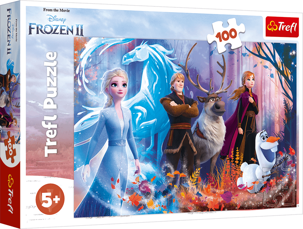 Disney Frozen Puzzle