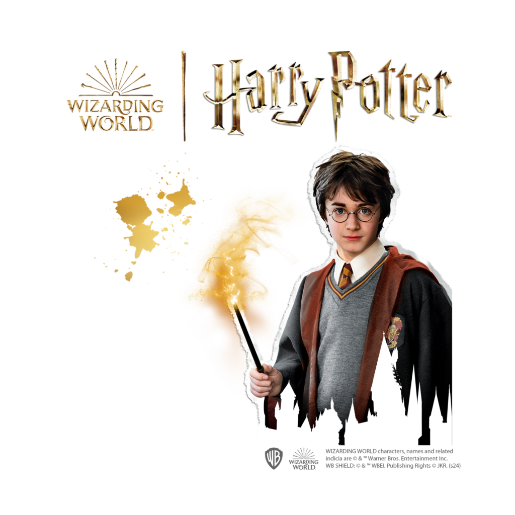 Harry Potter Diamond Painting