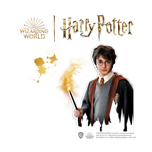 Harry Potter Diamond Painting
