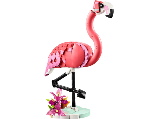 Creator Rosa Flamingo