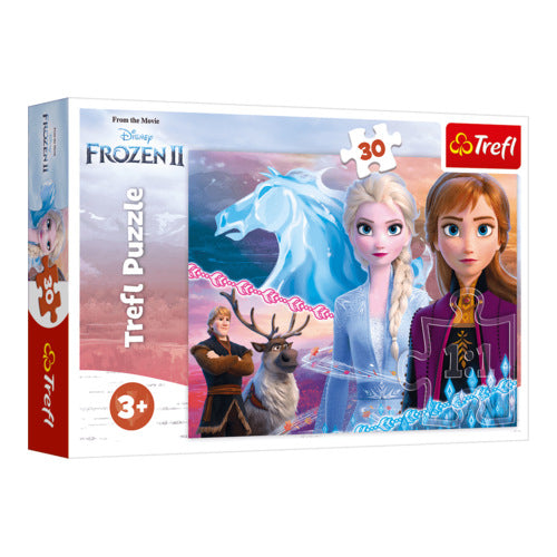Disney Frozen Schwestern Puzzle Teile