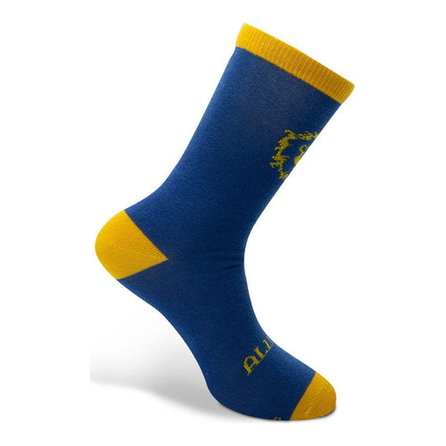 WoW Socken Allianz