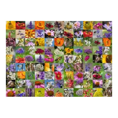 bienen puzzle