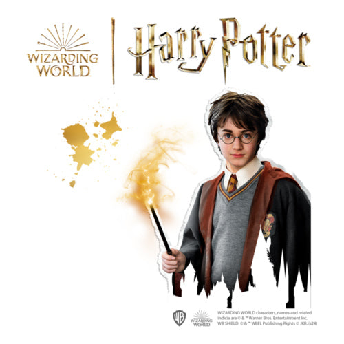 ses harry potter buegelperlenset figuren